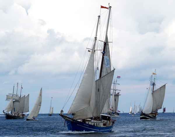 Großsegler unter sich