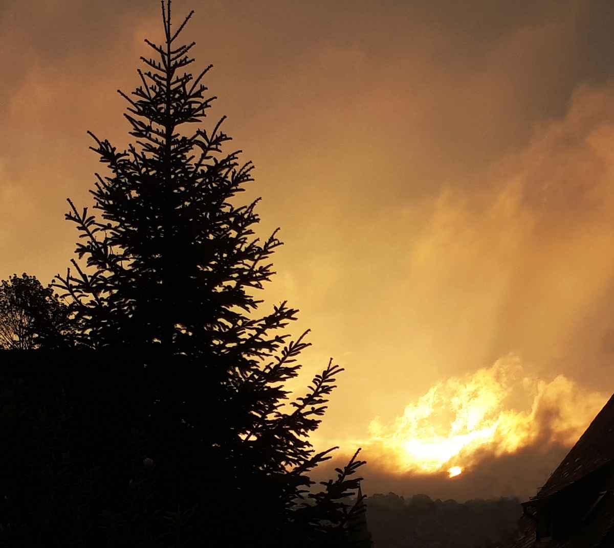 Sonnenaufgang mit verwehenden Regenwolken