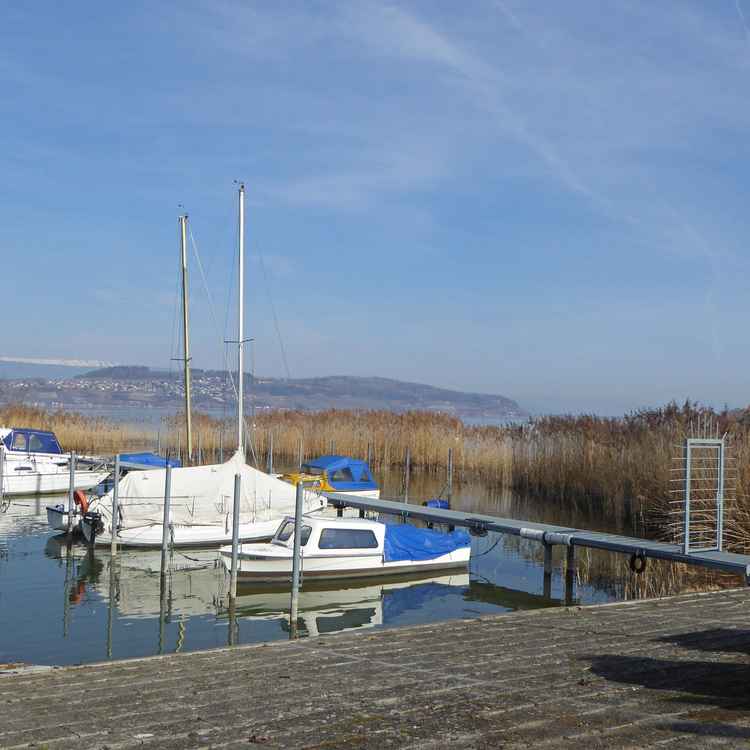 Vorfrühling am Murtensee / 1