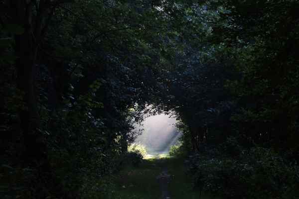 es werde licht