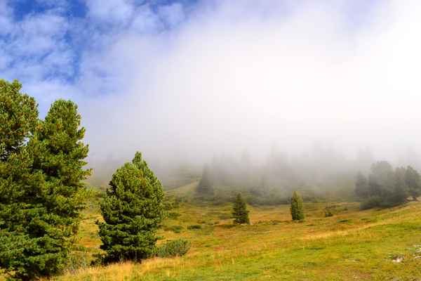 der Nebel kommt