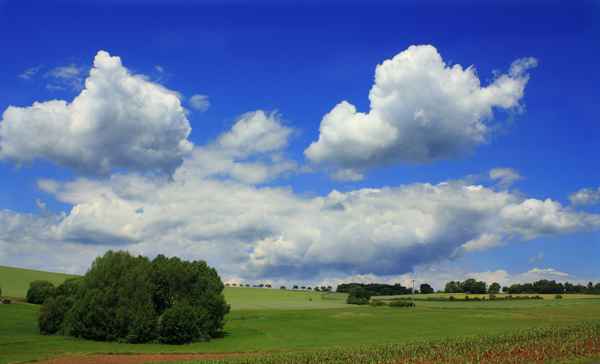 sommerlandschaft