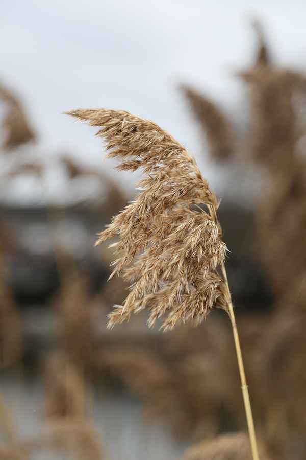 Der Herbst ist gekommen