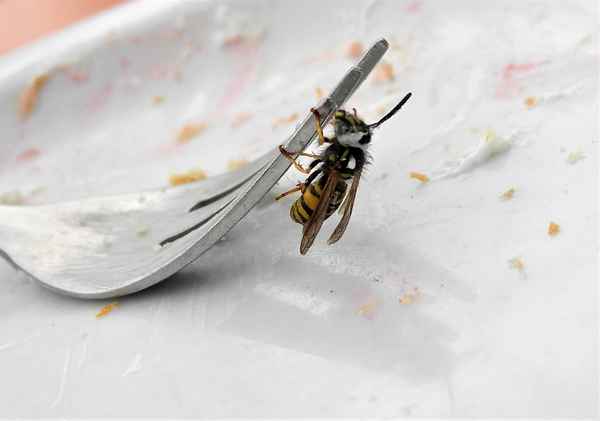 Nur nichts verkommen lassen