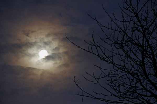 Vollmond