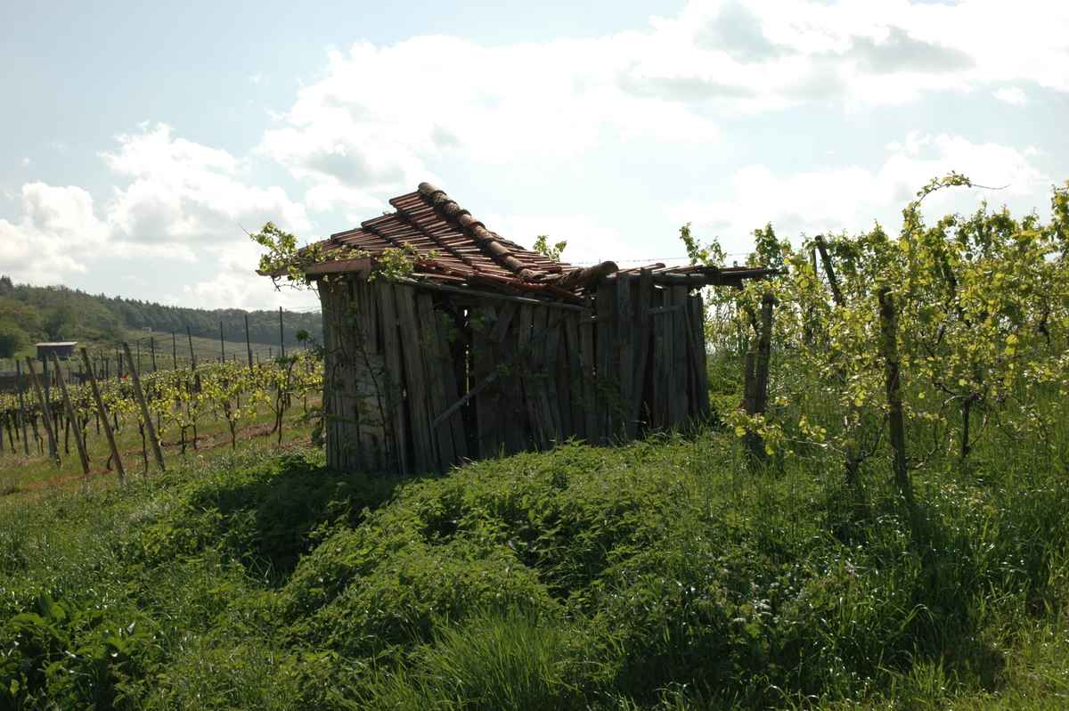 Weinberhütte - kurz vor dem Einsturz