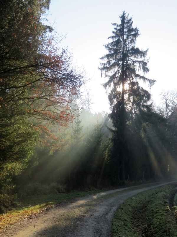 Ein "Lichtblick"