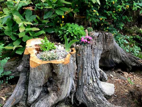 Originelles Blumenbeet