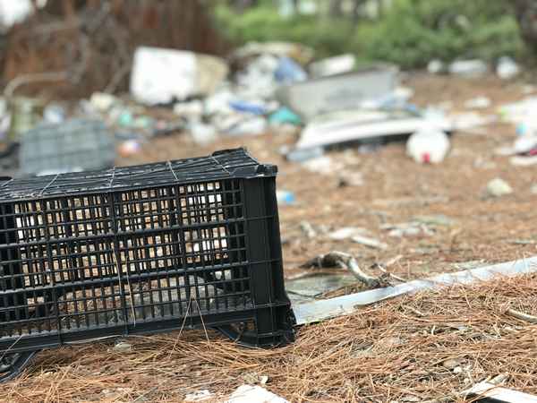 Illegale Mülldeponie im Wald / Foto: Alexander Hauk