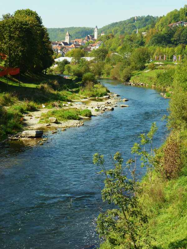 Neckar mit Altstadt Horb_hoch