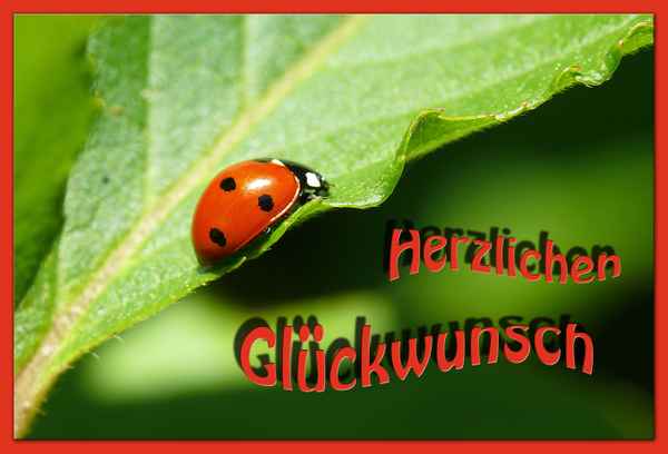 Glückwunsch!