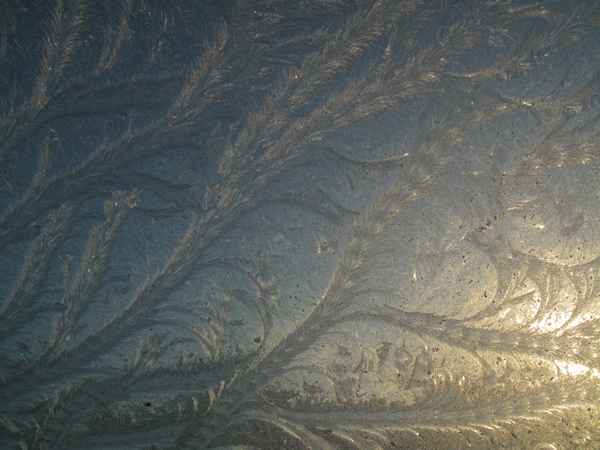 Eisblumen hinter Fensterscheibe 2