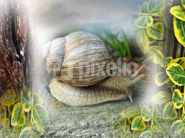 Kinderbuch-Bild