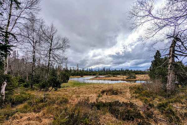 Hohlohsee Moor im April 2025