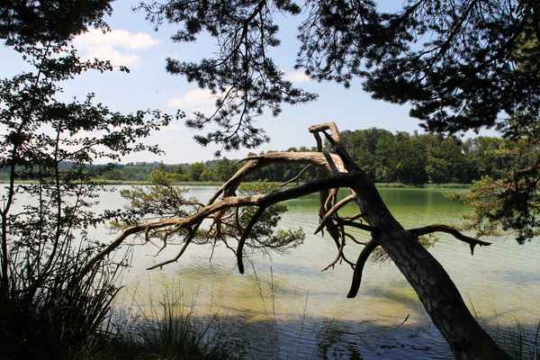 Sommer an den Osterseen 11