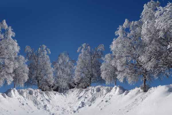 Nochmals tiefer Winter