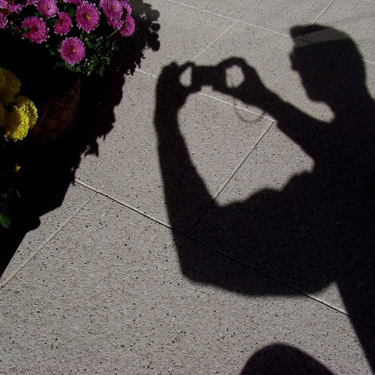 bei der Arbeit für PQ