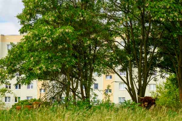 Ruheplatz im Grünen