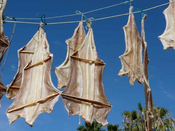 Trockenfisch 2