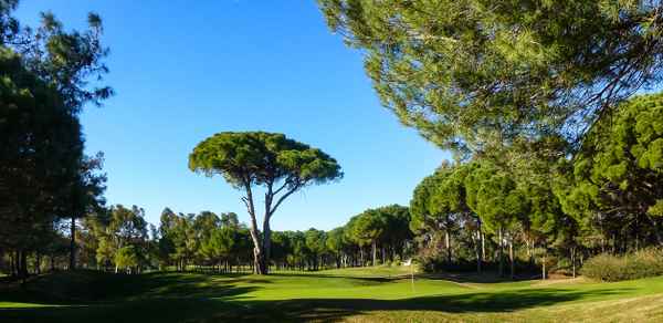 Golfen in Belek (Pasha-Course), Grün 4