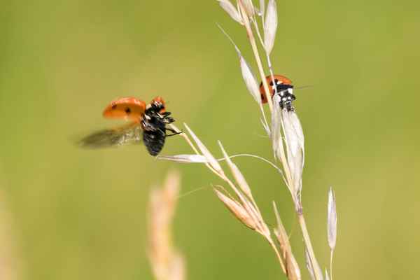 mach nen Abflug...