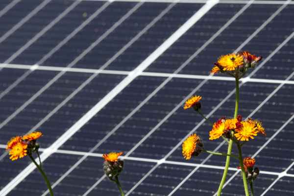 Photovoltaikanlage im Gruenen der Natur