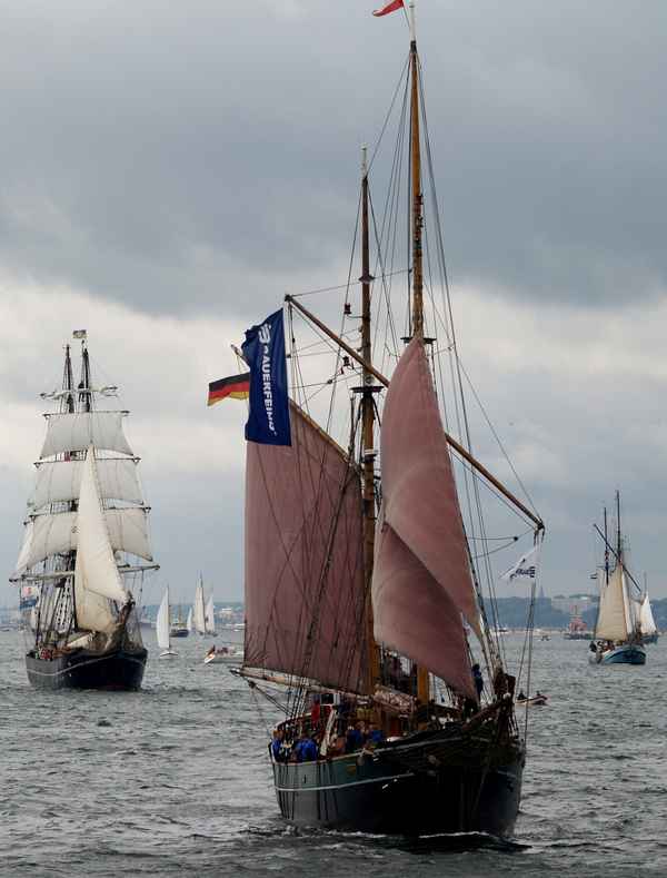 Großsegler unter sich