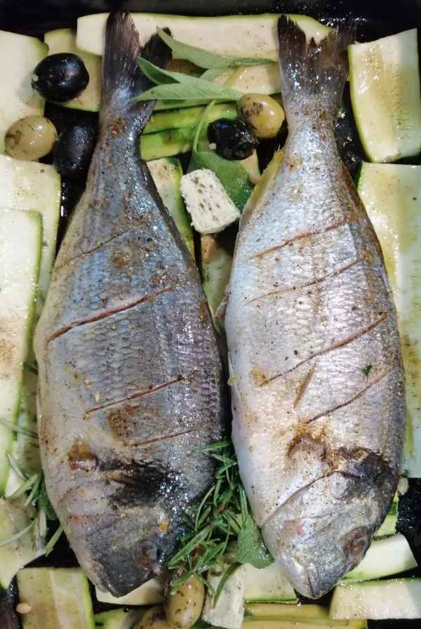 Dorade auf Zuccini und Oliven
