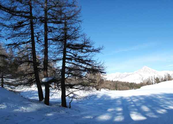 Winterliches Schattenspiel