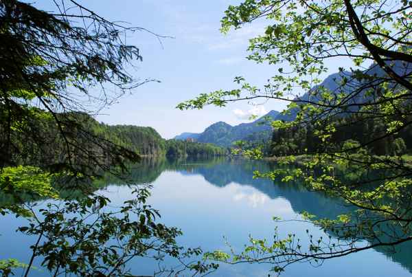 Alpsee