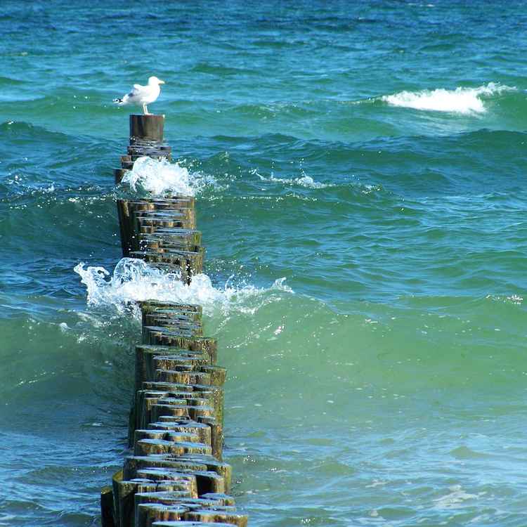 Pfosten in der Ostsee