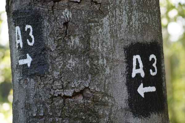 Wanderroute A3