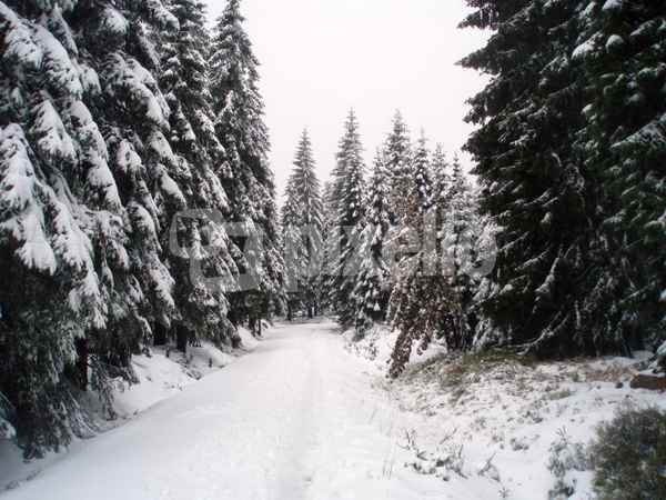 snow way - no way?