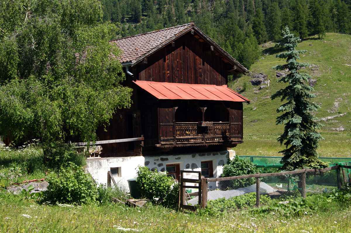 Von der Sonne gebräunt