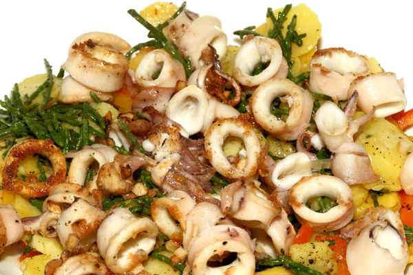 Calamaretti Kartoffeln Salicornes 1