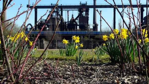 Frühling im Revier #2