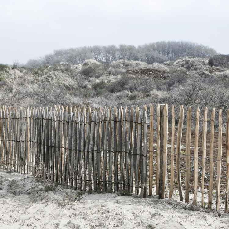 Naturschutzgebiet in De Panne Belgien 2