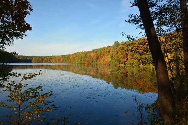 Schlaubetal im Herbst
