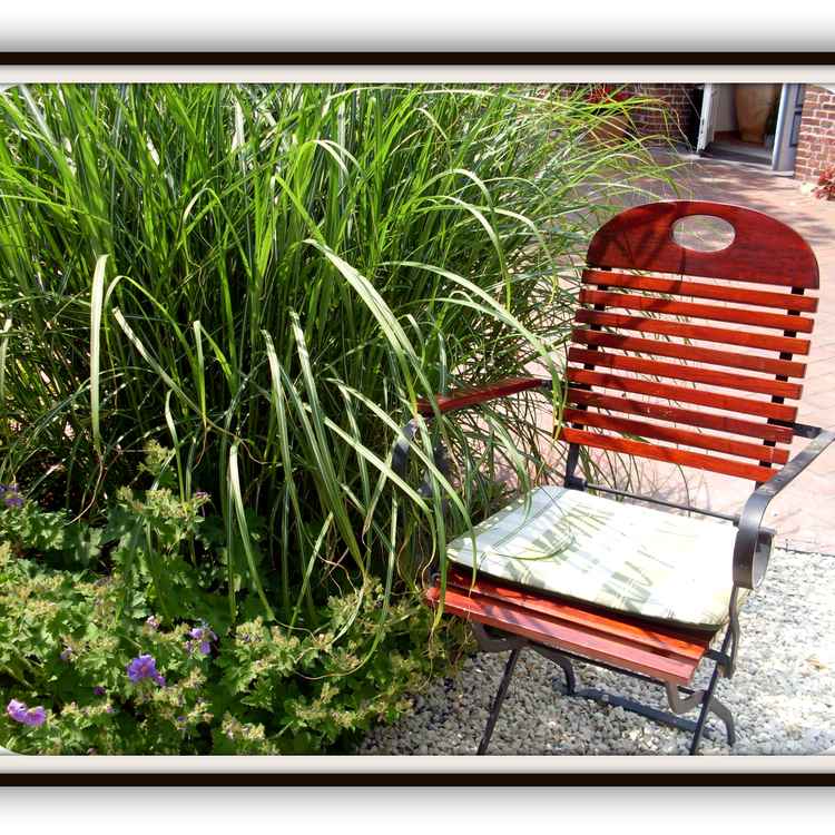 Gemütlichkeit ist Trumpf