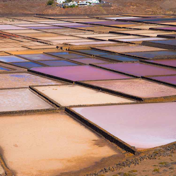 Salinas de Janubio