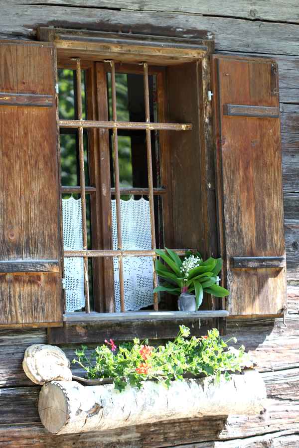 Fensterblicke I