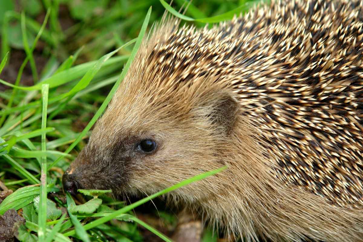 Der Winterspeck muss her