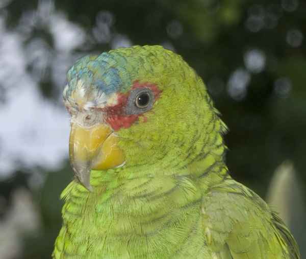 An mir kommt keiner vorbei! 2