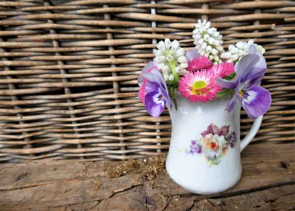 Der kleine Frühling