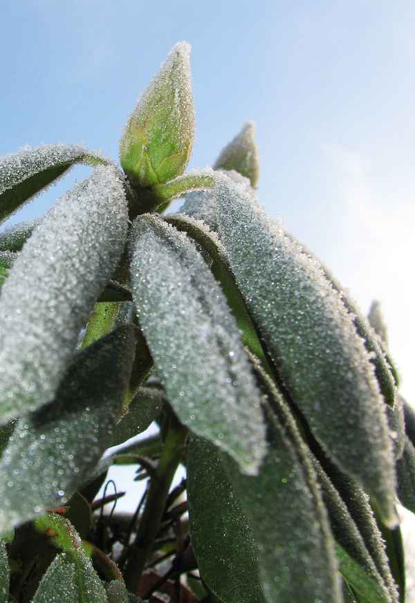 Warten auf den Frühling