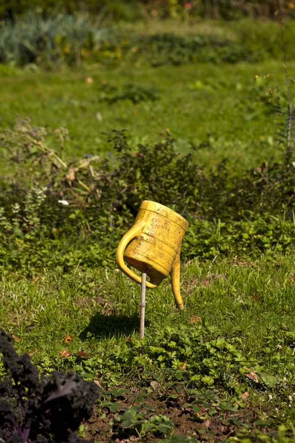 Out of Order