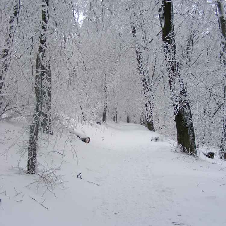 Winterlandschaft 1