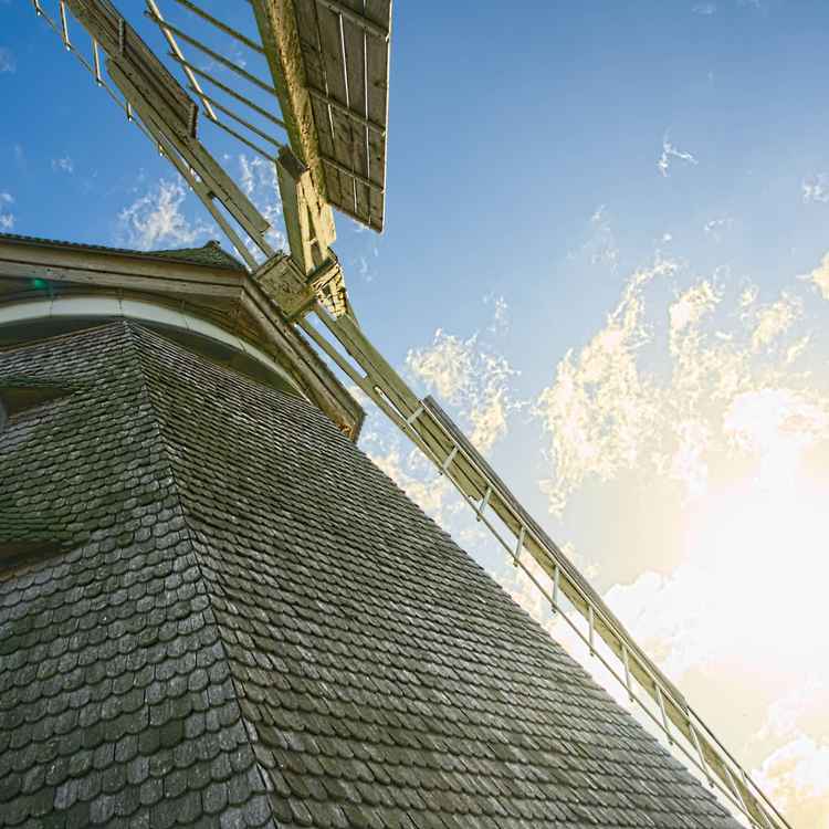 Windmühle Tierpark Stralsund