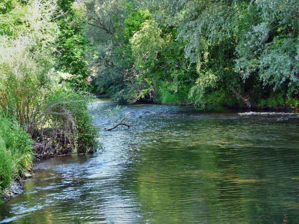 Naturparadies Innerste 1