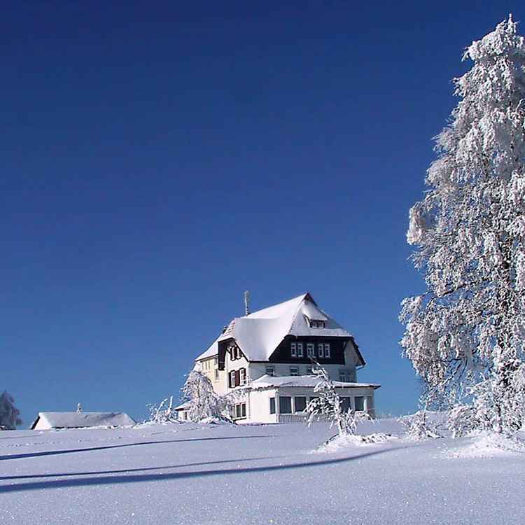 Schwarzwald-Winter